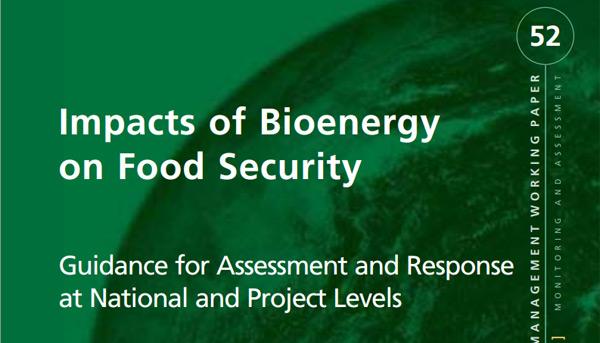 Ferramentas para a avaliação do impacto da bioenergia na Segurança Alimentar
