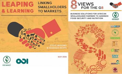 Leaping and Learning: Linking Smallholders to Market 