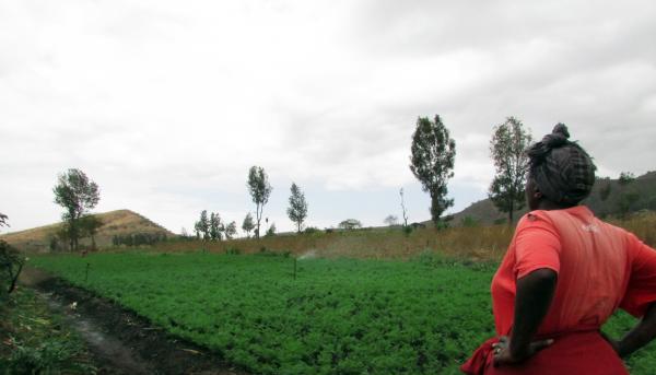 SAVE THE DATE: AGRICOLTURA FAMILIARE IN AFRICA SUB-SAHARIANA