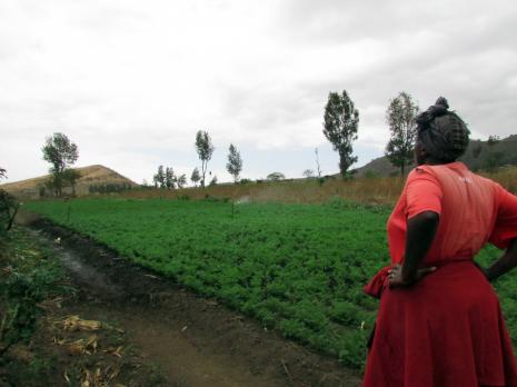 SAVE THE DATE: FAMILY FARMING IN SUB-SAHARAN AFRICA