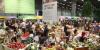 Sana: il salone internazionale del biologico e del naturale dal 6 al 9 settembre 2014 a Bologna! Sana: il salone internazionale del biologico e del naturale dal 6 al 9 settembre 2014 a Bologna!