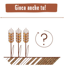 gioca-anche-tu