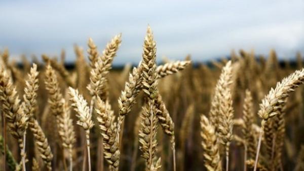 Agricoltura a tutto gas