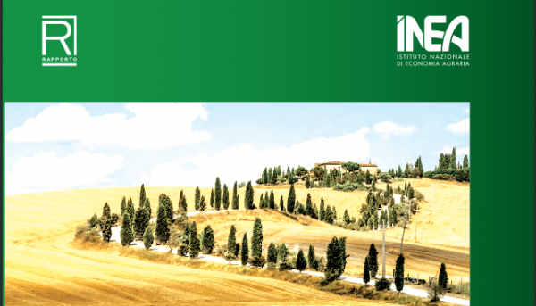 Agricoltura in Italia: la fotografia di Inea