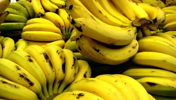 L'etica della frutta