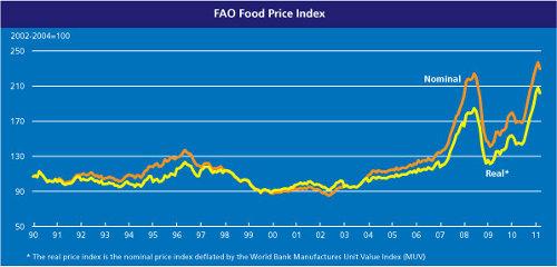 La FAO e i prezzi alimentari