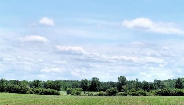 La terra è un bene di lusso