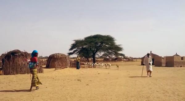 Land grabbing in Senegal, l'appello per fermarlo