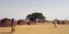 Land grabbing in Senegal, l'appello per fermarlo