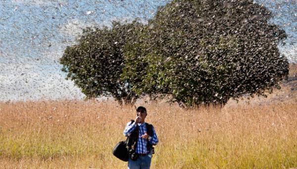 Madagascar, sicurezza alimentare a rischio