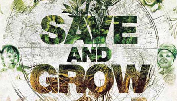 Save and Grow ajuda a cultivar mandioca